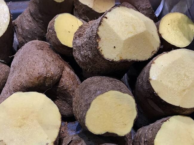 Minagricultura apoya a productores de ñame en Montes de María. Foto: Getty Images