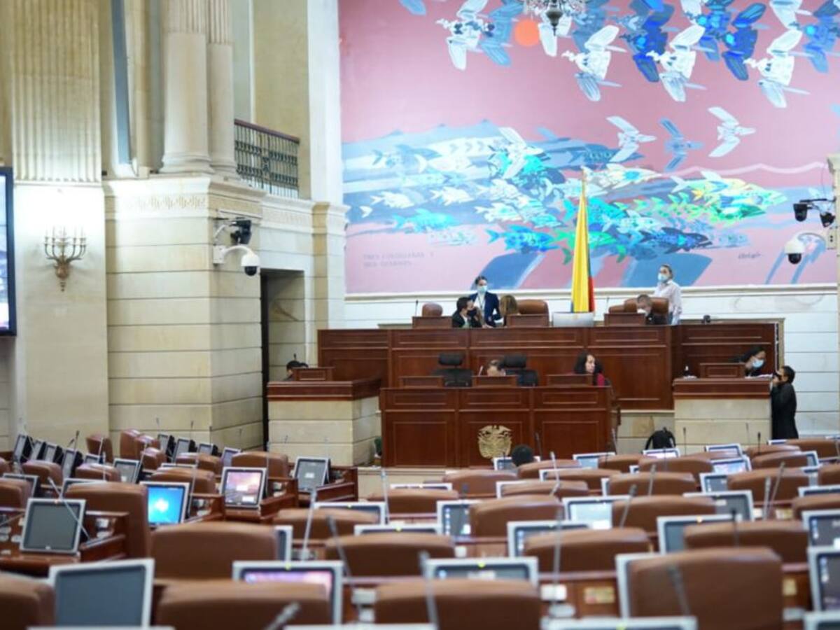 Los cambios de última hora de la reforma tributaria: habrá IVA a venta de mascotas