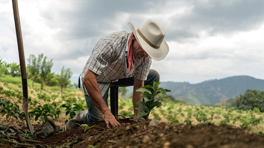 Imagen de referencia de campesino en Colombia. Foto: Getty Images / andresr