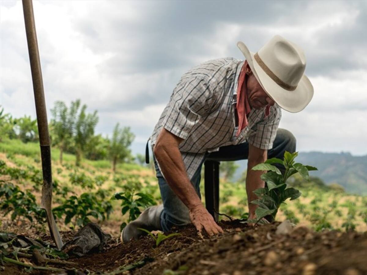 Gobierno hizo propietarias de sus tierras a más de 7.000 familias campesinas