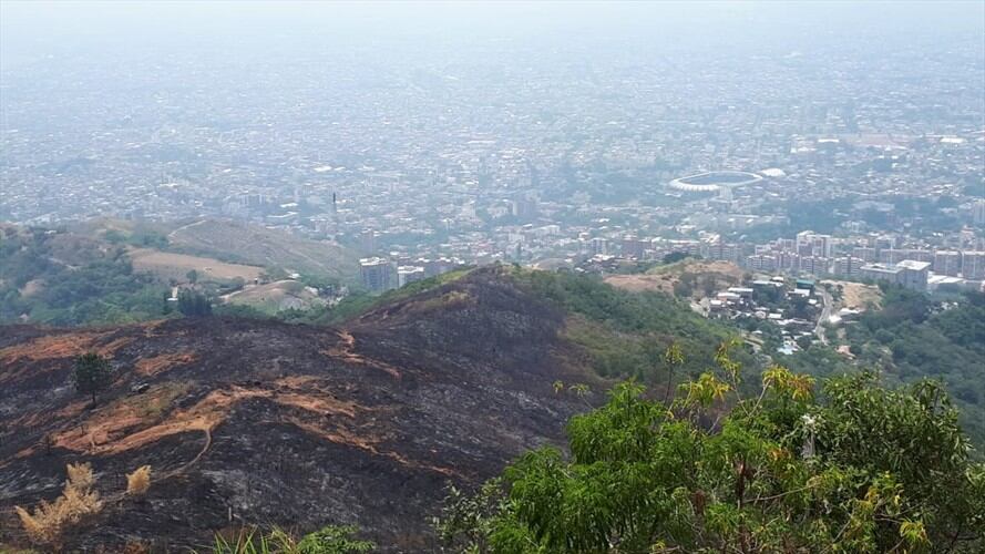 Propone plan para reforestar 114 hectáreas del Cerro de Cristo Rey. Foto: Erika Rebolledo