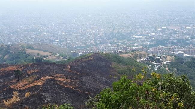 Propone plan para reforestar 114 hectáreas del Cerro de Cristo Rey. Foto: Erika Rebolledo
