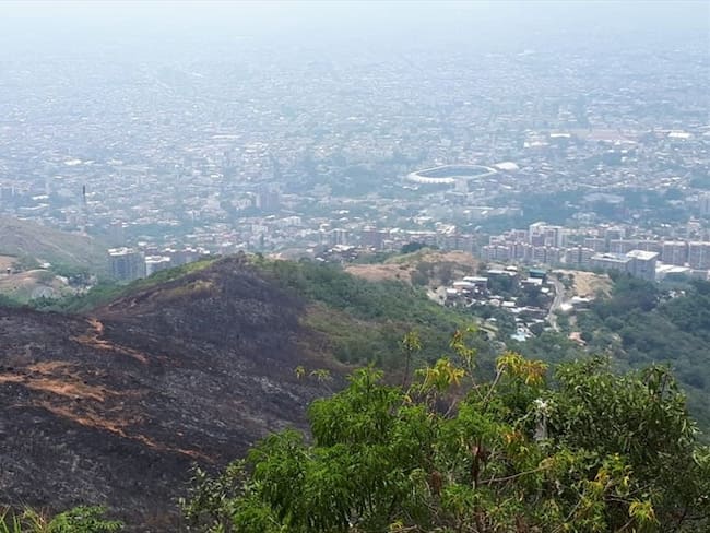 Propone plan para reforestar 114 hectáreas del Cerro de Cristo Rey. Foto: Erika Rebolledo