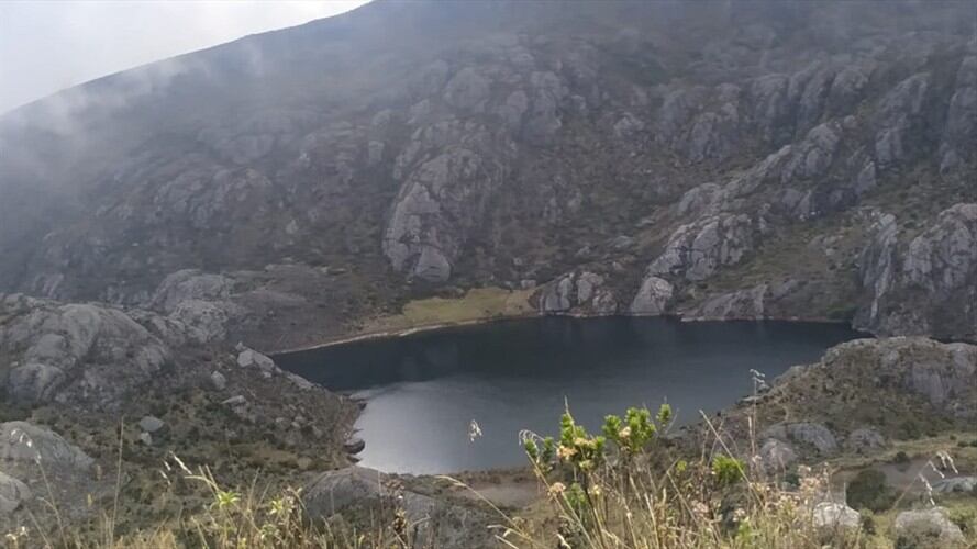 El 16 de marzo se llevarán a cabo varias actividades en defensa del páramo.. Foto: La W.