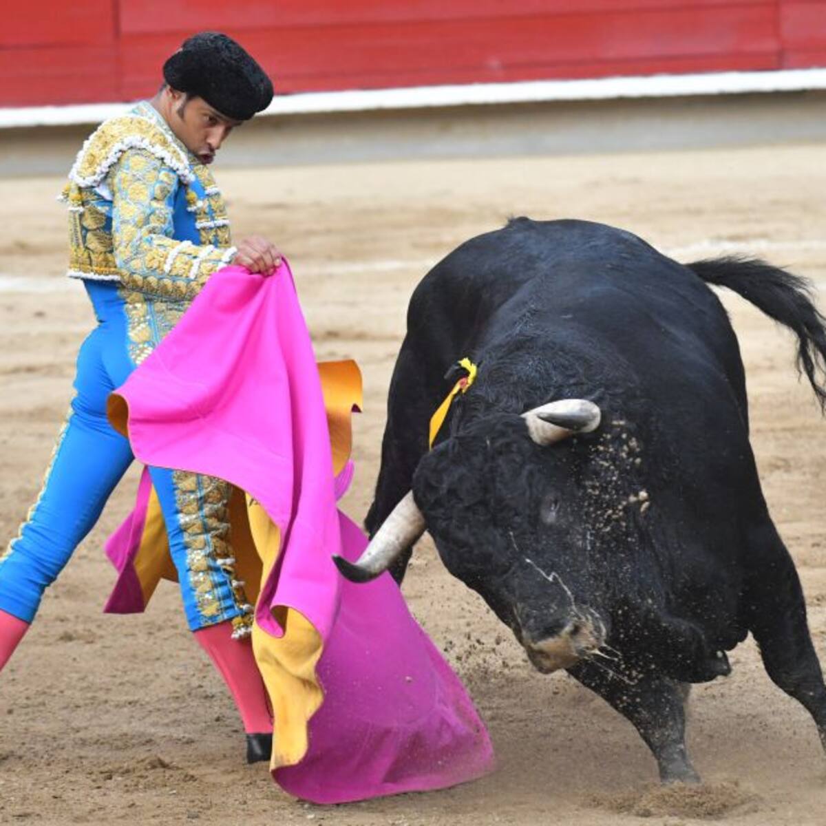 Suspenden temporada taurina en Cali por inclusión de menores de edad
