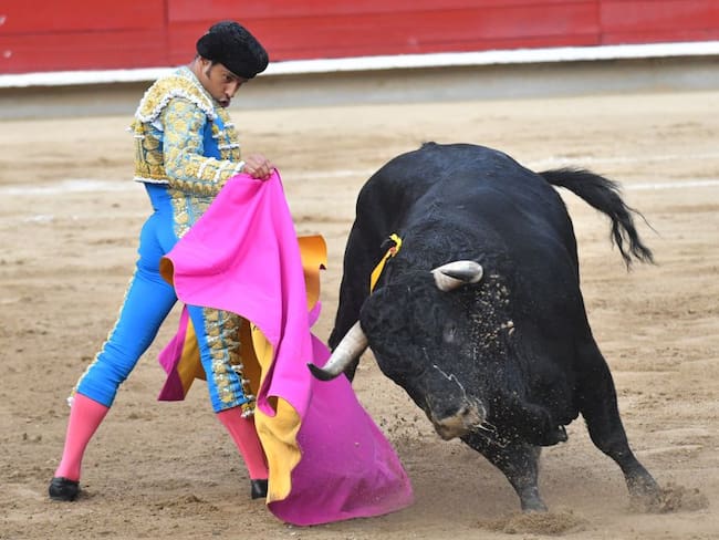 ¿En qué va el debate sobre las corridas de toros en Colombia? Congresistas responden