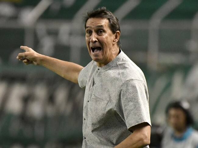 Alexandre Guimaraes es nuevo DT de Atlético Nacional. Foto: Gabriel Aponte/Vizzor Image/Getty Images