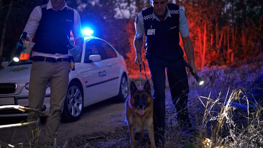 Un borracho participó en la búsqueda de un desaparecido, que resultó ser él mismo. Foto: Getty Images /  Yuri_Arcurs