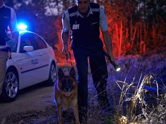 Un borracho participó en la búsqueda de un desaparecido, que resultó ser él mismo. Foto: Getty Images / Yuri_Arcurs