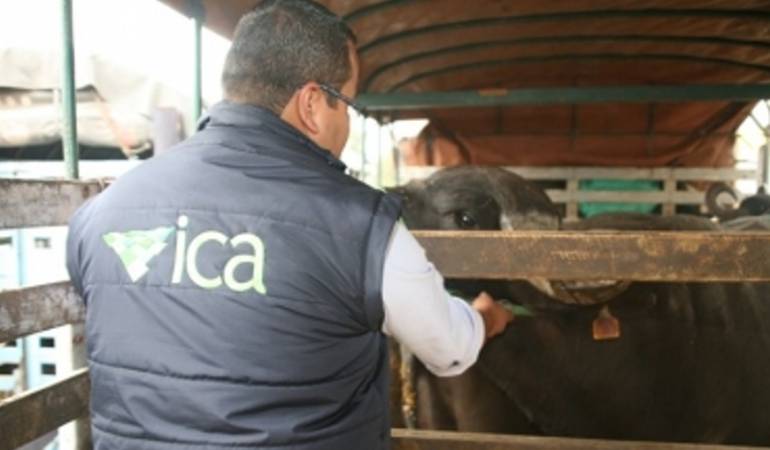 Funcionario del ICA