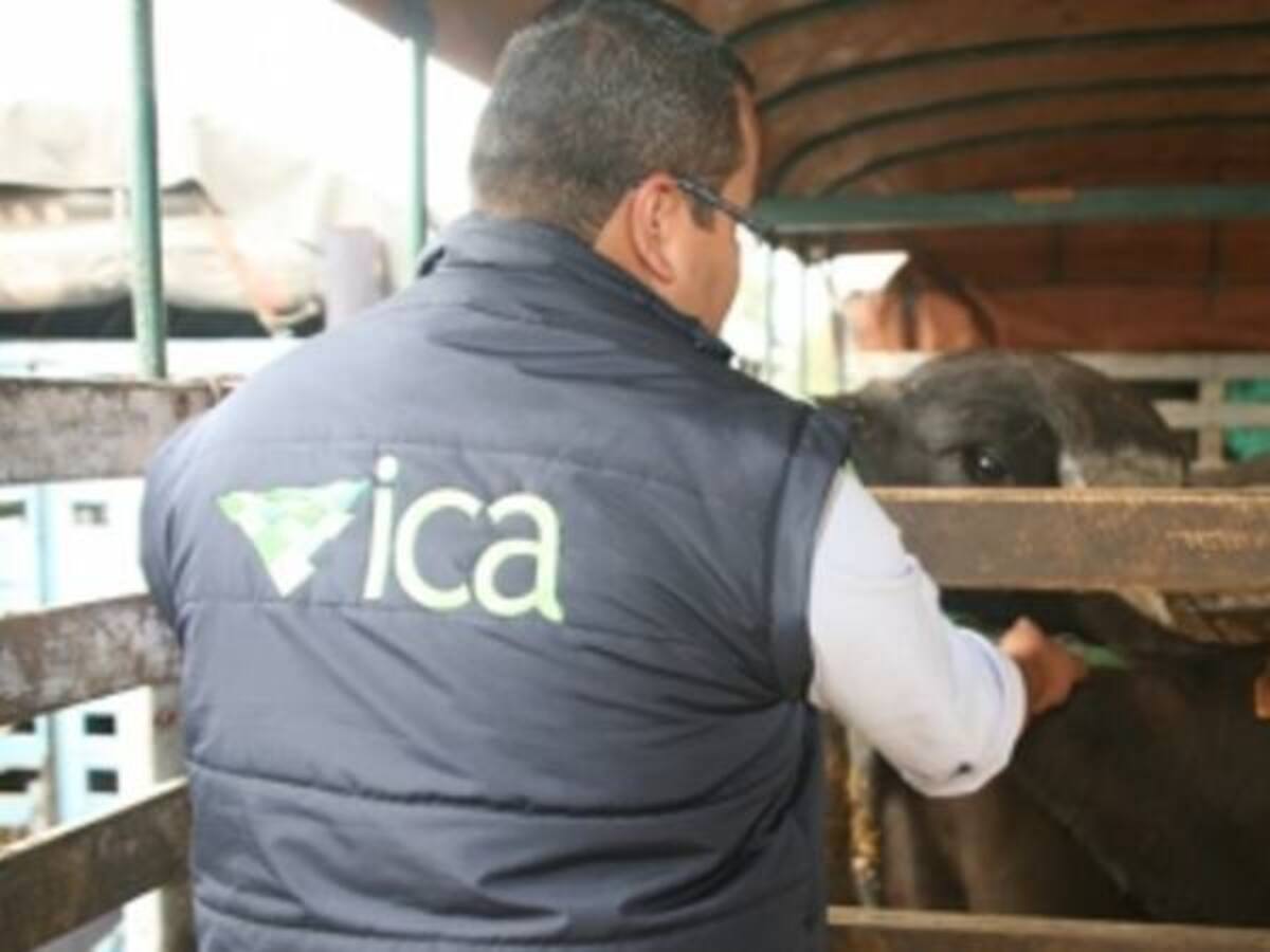 Funcionarios del ICA en La Guajira fueron retenidos, por unas horas, por un grupo armado