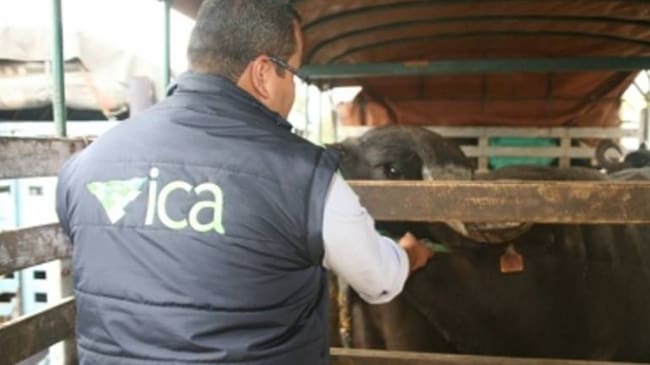 Funcionario del ICA