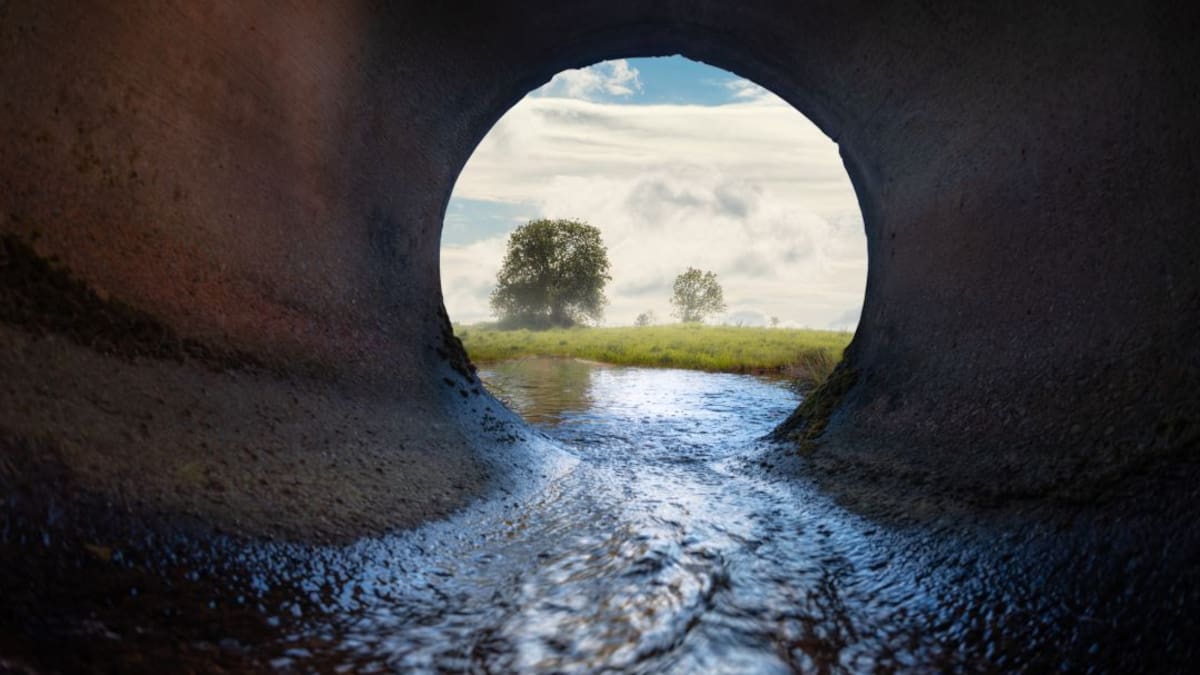 Alerta en Sucre: materia fecal inunda zonas cultivadas en municipio de Toluviejo