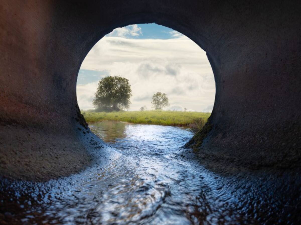 Alerta en Sucre: materia fecal inunda zonas cultivadas en municipio de Toluviejo