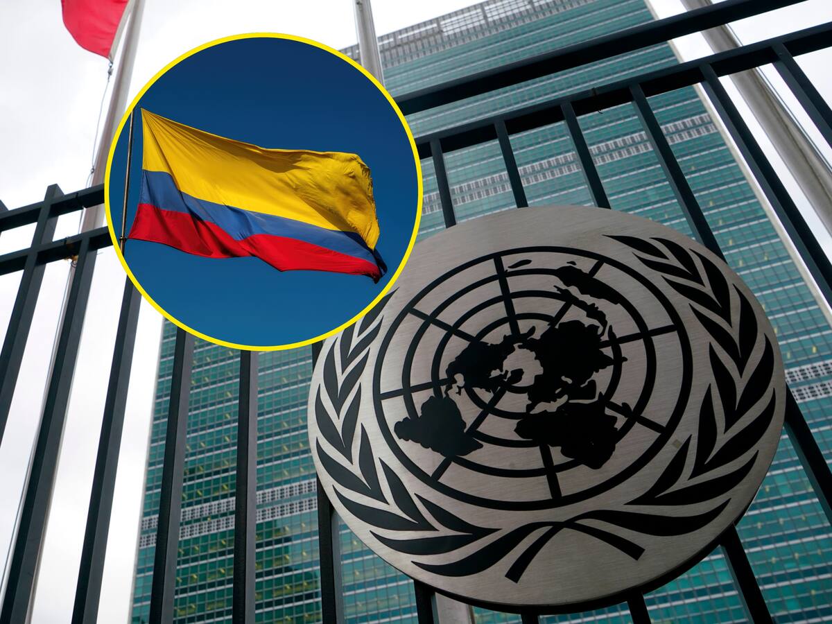 La ONU cerró tres oficinas en Colombia por recortes financieros