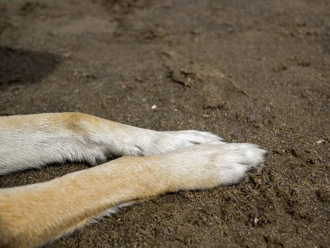 Imagen de referencia. Foto: GettyImages.