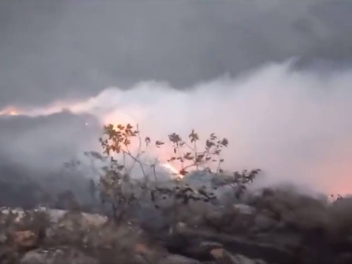 Incendio destruyó cerca de 40 hectáreas en Los Santos, Santander