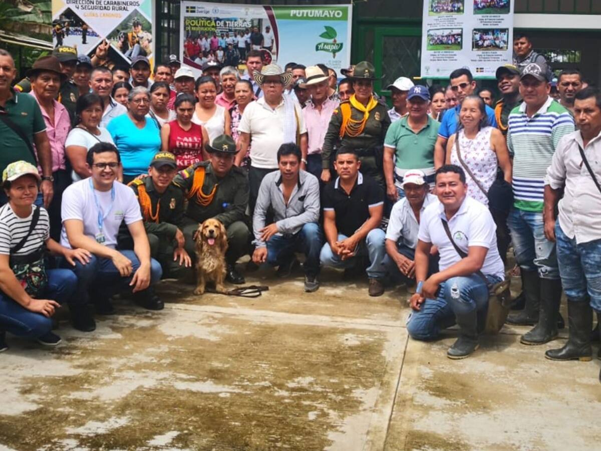 La comunidad que sustituyó la coca por un innovador fruto amazónico y otras historias de éxito en sustitución de cultivos