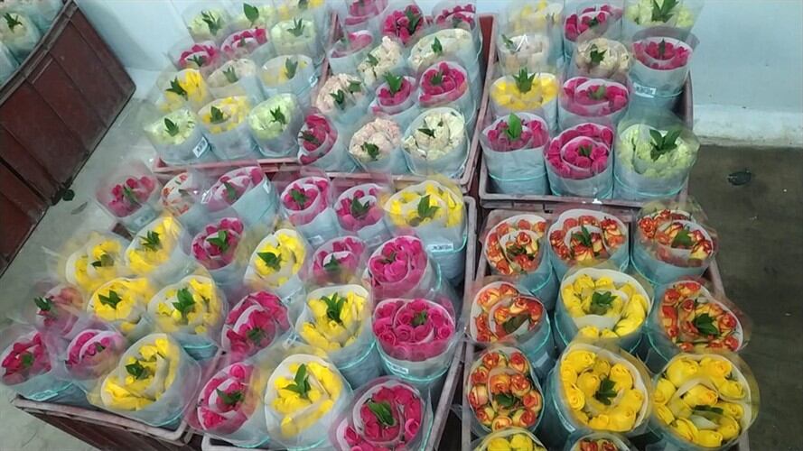 Según Alejandro Mejía, cerca de 1000 empleos genera el sector de la floricultura en Boyacá, la mayoría mujeres cabeza de hogar.. Foto: Suministrada