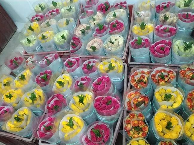 Según Alejandro Mejía, cerca de 1000 empleos genera el sector de la floricultura en Boyacá, la mayoría mujeres cabeza de hogar.. Foto: Suministrada