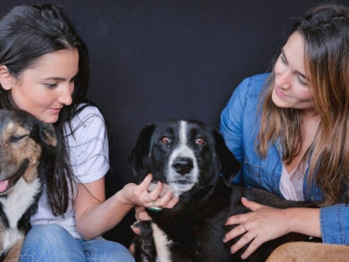 La paletería que dona sus ganancias a los animales abandonados