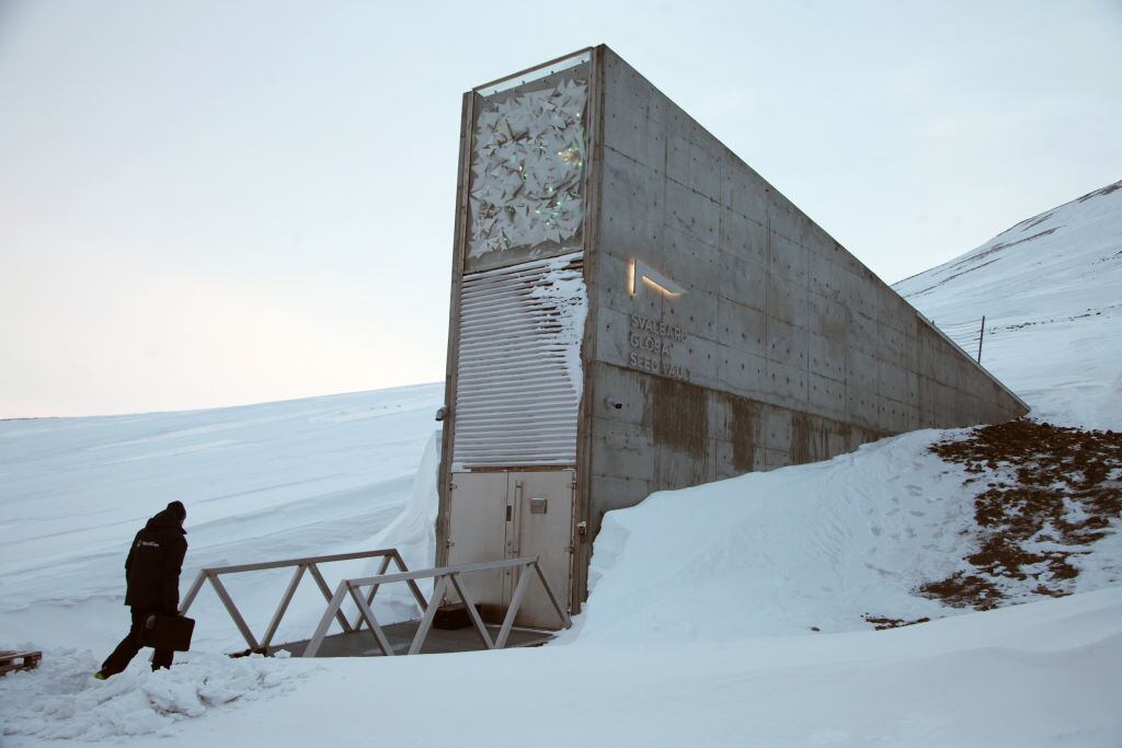 Bodega del Fin del Mundo (Global Seed Vault). Foto: Steffen Trumpf / picture alliance via Getty Images