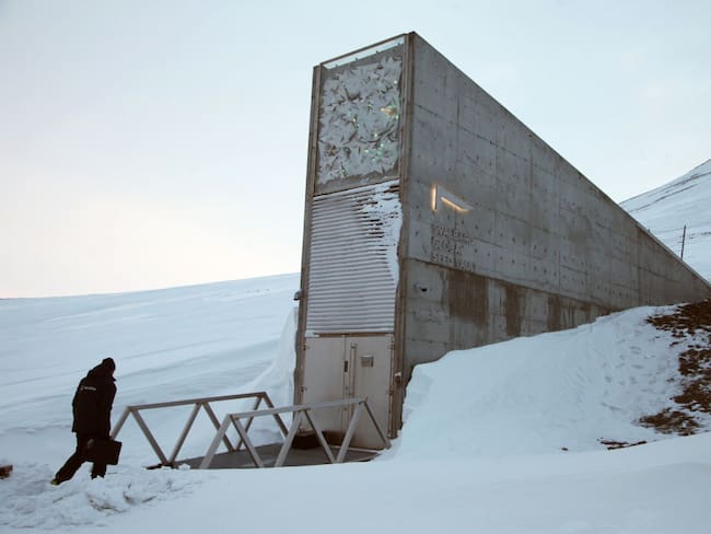 Bodega del Fin del Mundo (Global Seed Vault). Foto: Steffen Trumpf / picture alliance via Getty Images