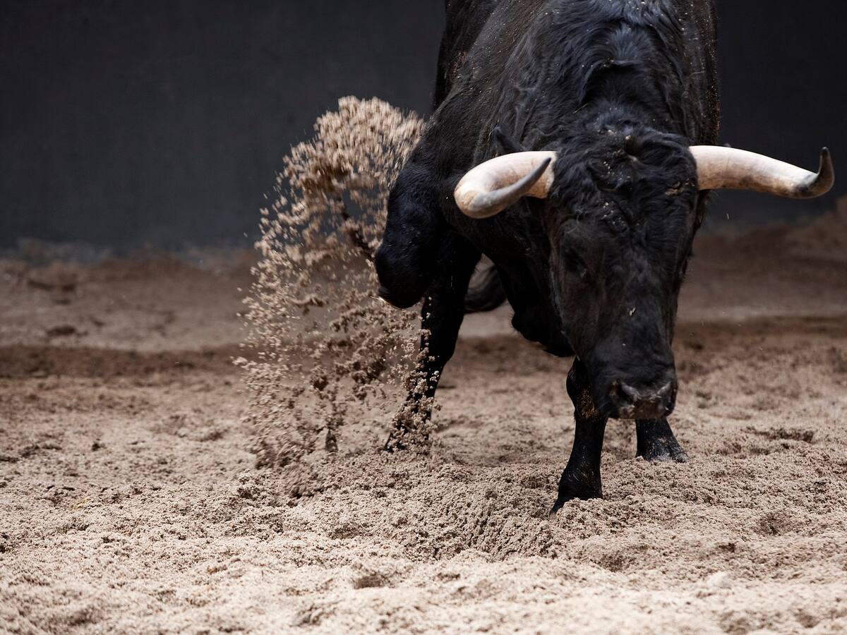 Toro saltó la barrera y generó pánico entre los asistentes de la Plaza de Cañaveralejo en Cali