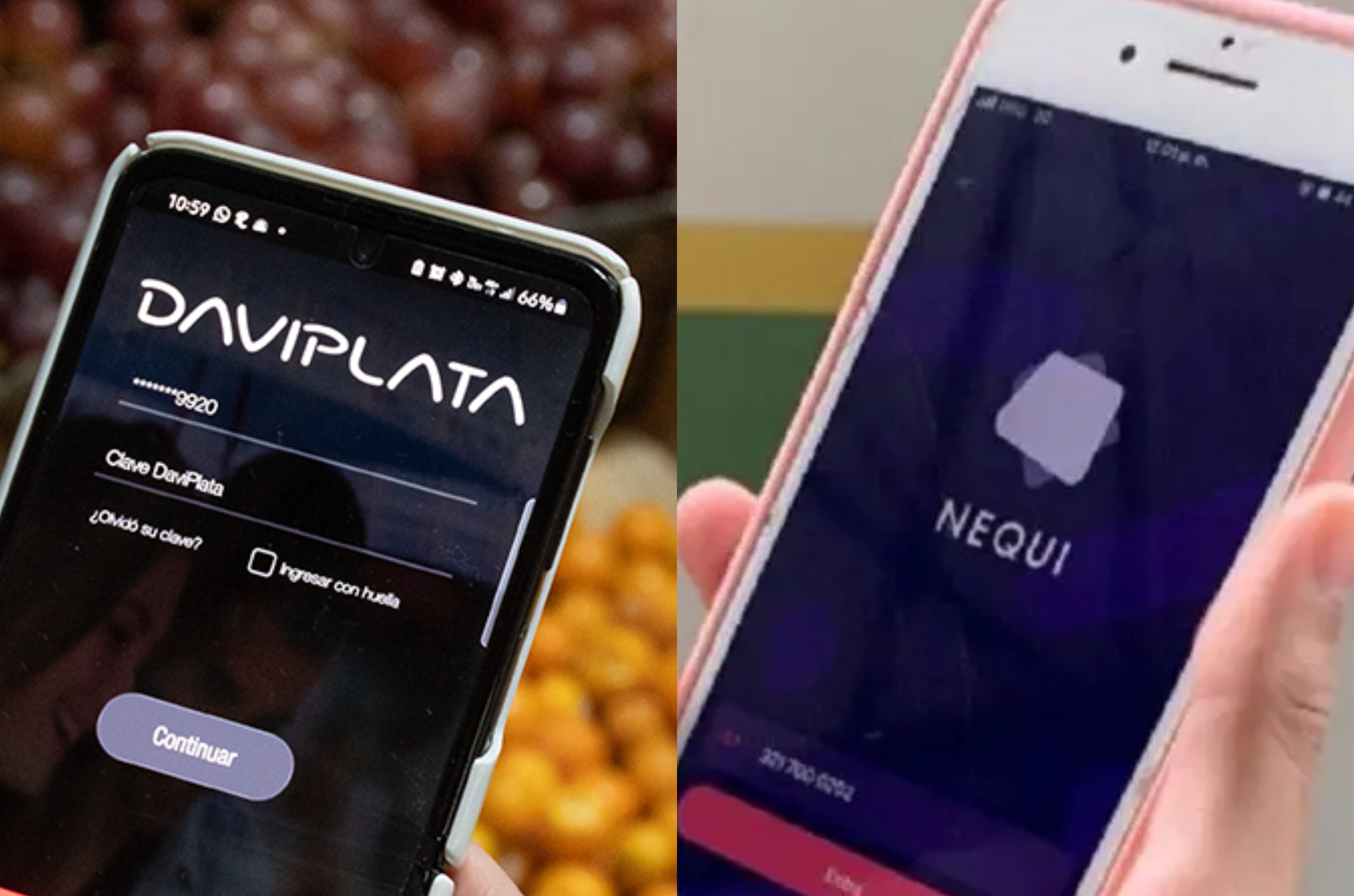 Fotos: Suministradas