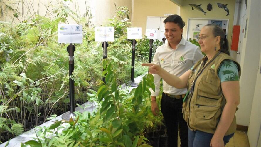 Las tareas de siembra se llevarán a cabo especialmente en los municipios de Cali, Jamundí y Yumbo . Foto: Instituto para la Investigación y la Preservación del Patrimonio Cultural y Natural del Valle