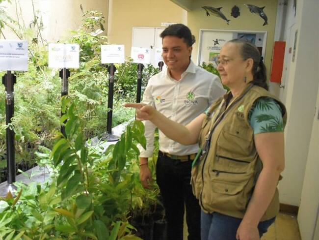 Las tareas de siembra se llevarán a cabo especialmente en los municipios de Cali, Jamundí y Yumbo . Foto: Instituto para la Investigación y la Preservación del Patrimonio Cultural y Natural del Valle