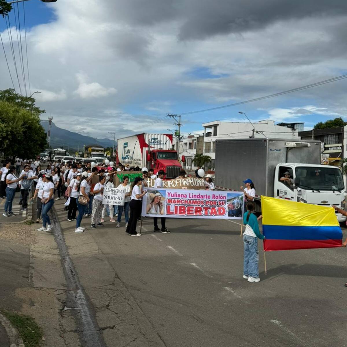 Familiares de Yuliana Lindarte marchan en Los Patios exigiendo su libertad