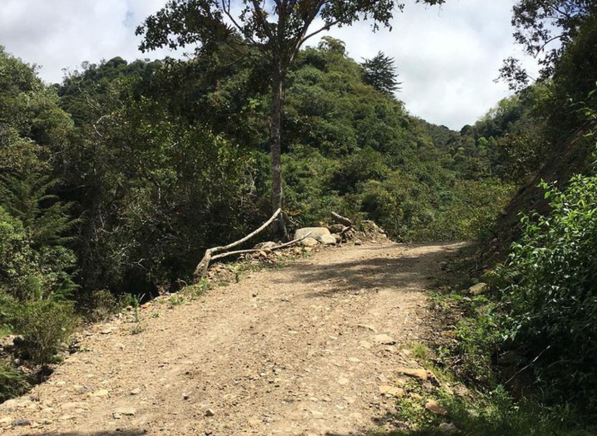 Tona, Santander/ Suministrada. 