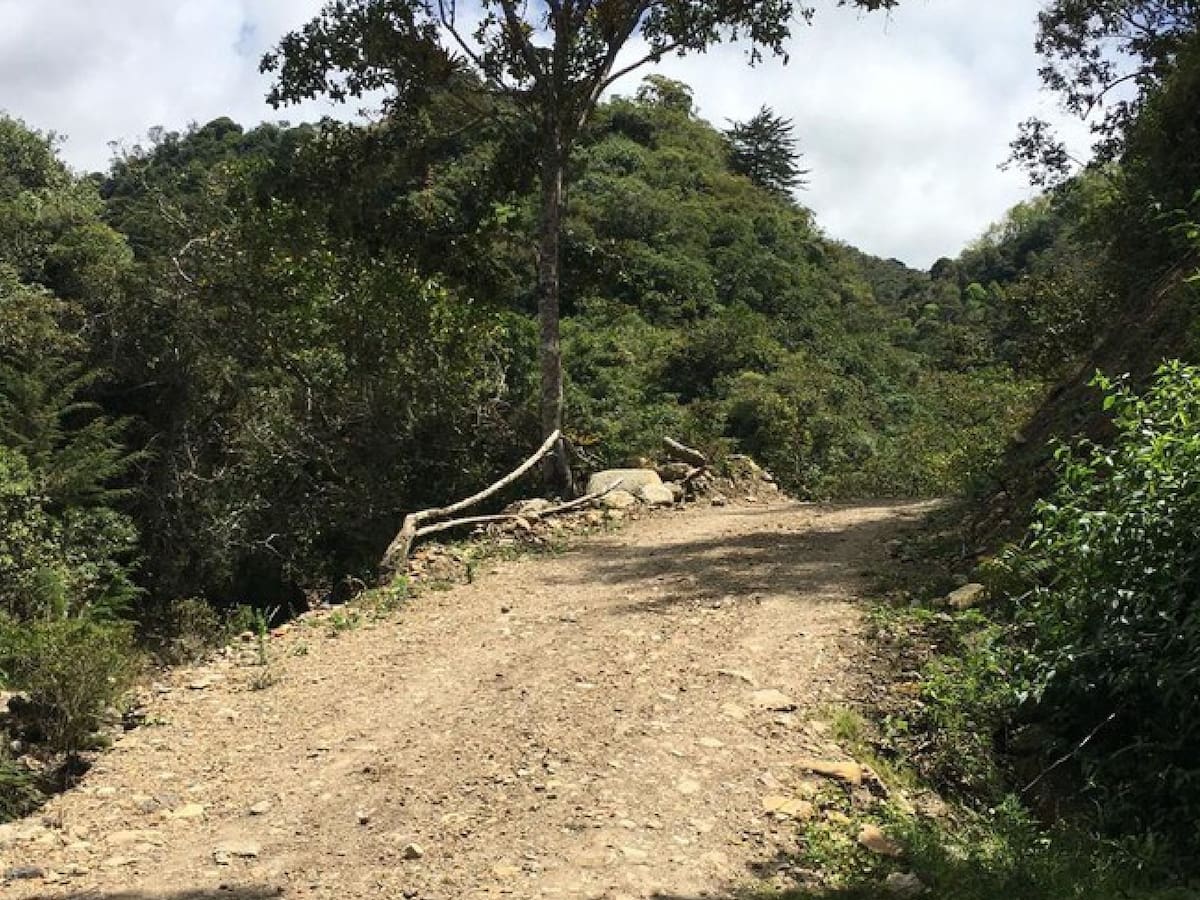 Estudiantes de Tona arriesgan su vida cruzando el río para ir a estudiar