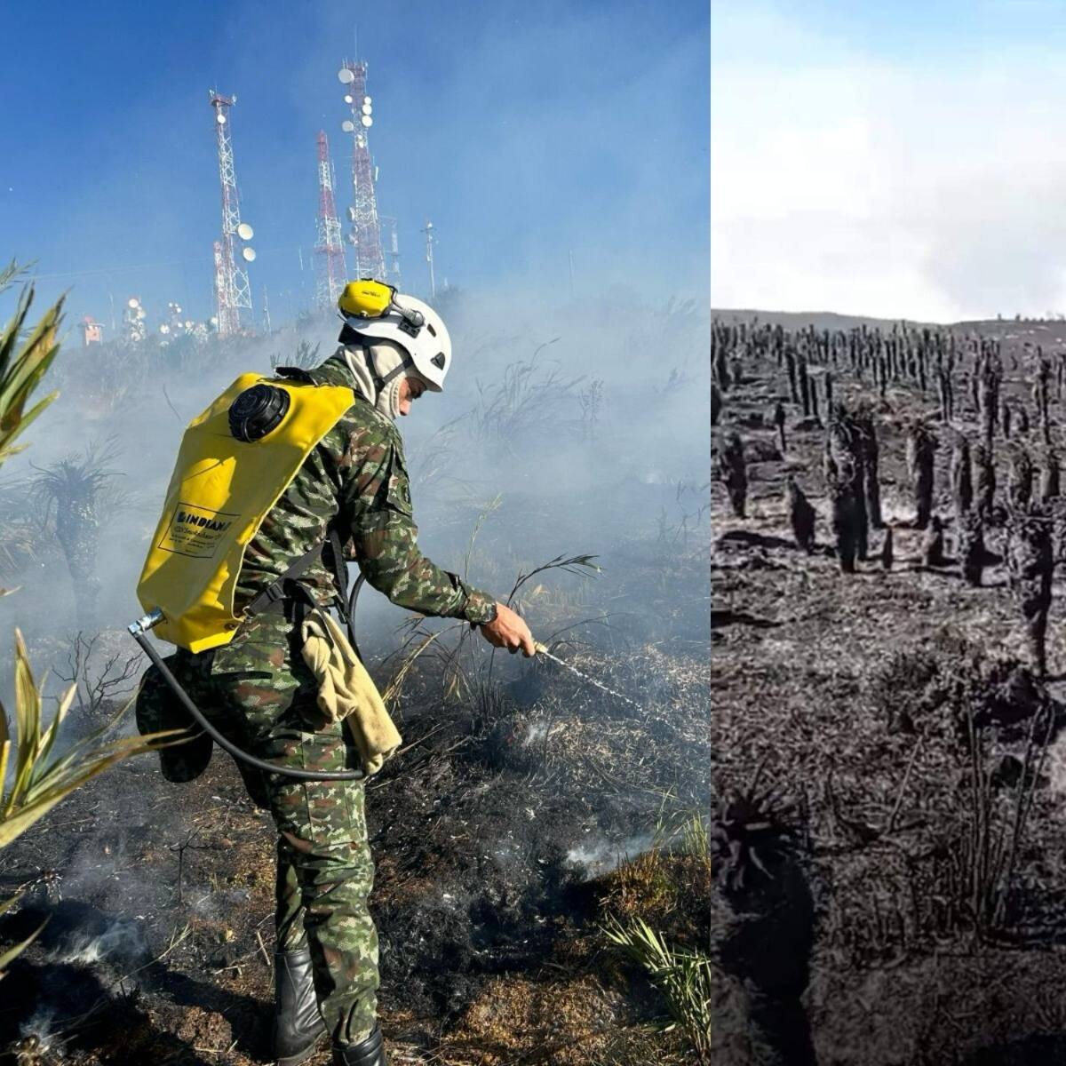 Emergencia por incendio en el Páramo de Berlín: helicópteros descargan agua para controlar