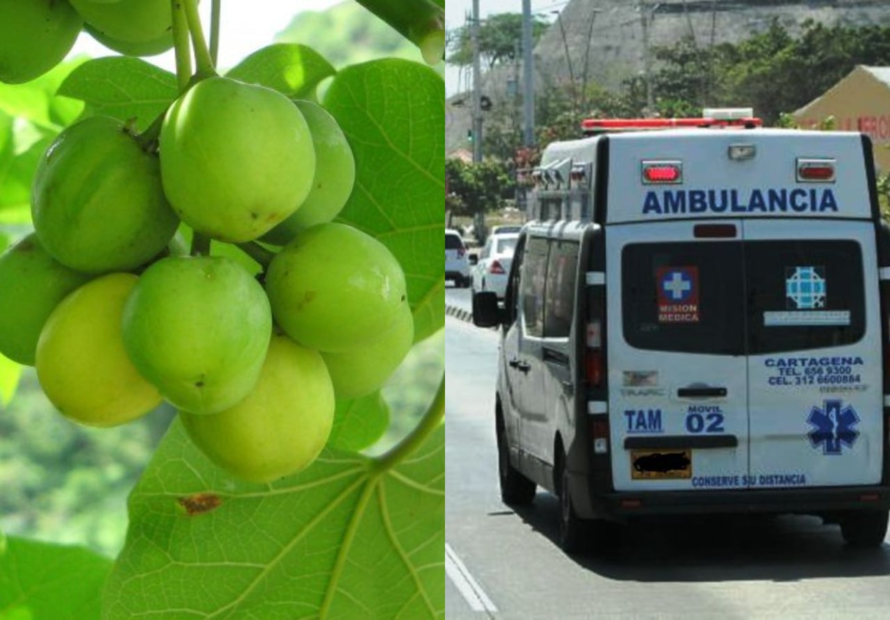 Manzanillo y ambulancia | Fotos: Suministradas