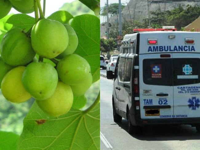 Manzanillo y ambulancia | Fotos: Suministradas