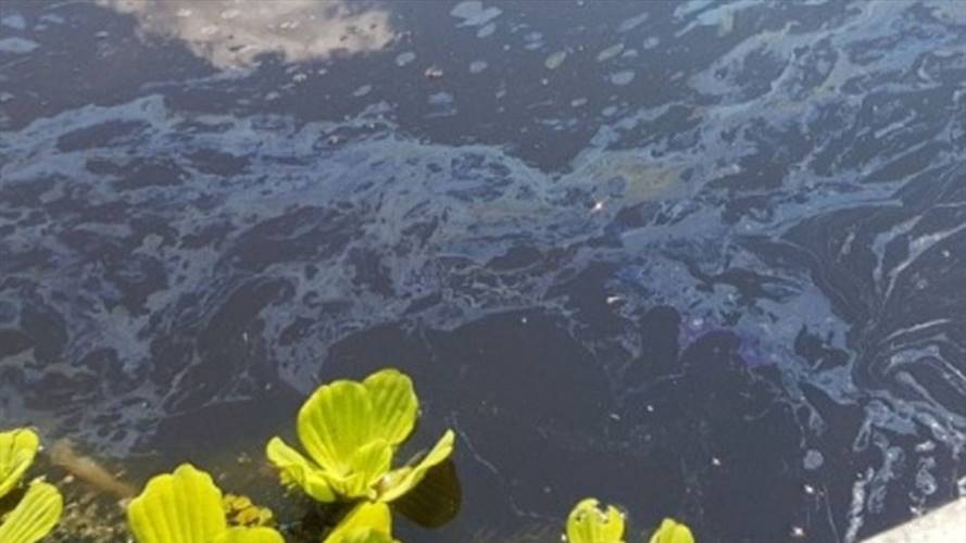 La Anla recordó que ya se formuló pliego de cargos a Mansarovar y se  han realizado siete visitas a los campos. Foto: W Radio