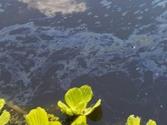 La Anla recordó que ya se formuló pliego de cargos a Mansarovar y se han realizado siete visitas a los campos. Foto: W Radio