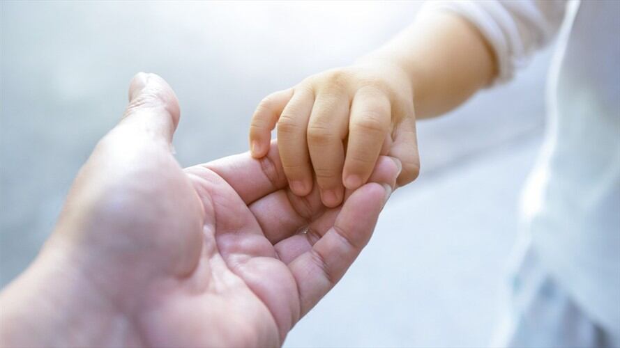 ¿Qué pasará con las adopciones durante la cuarentena?. Foto: