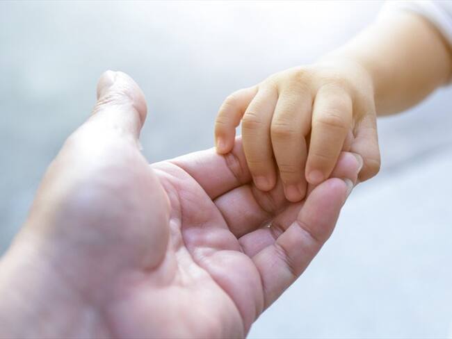 ¿Qué pasará con las adopciones durante la cuarentena?. Foto: