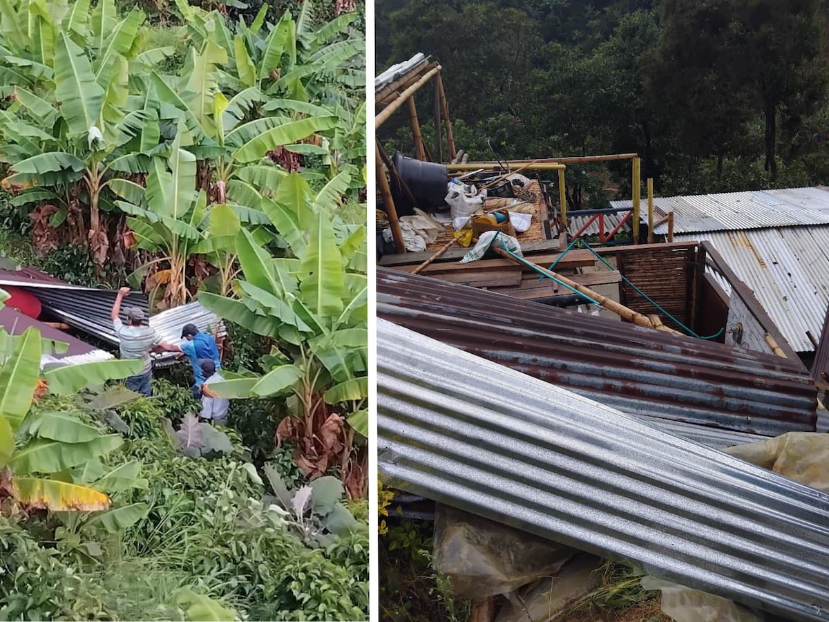 Vendaval en Belén de Umbría afectó más de 10 veredas y dañó varias hectáreas de cultivos