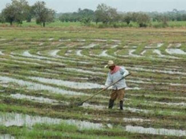 Precios de los alimentos podrían subir por fuertes heladas