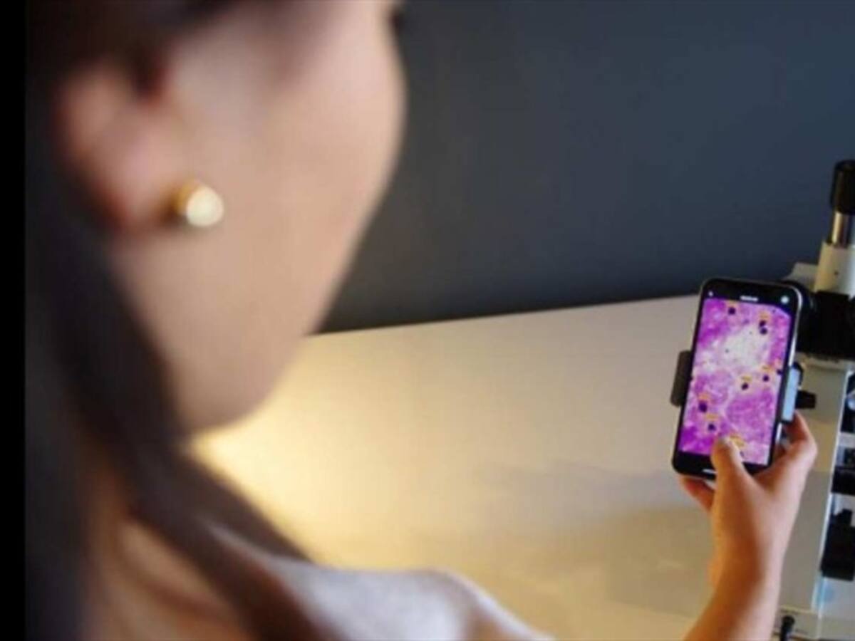 Colombianos crean 'software' para detectar malaria en solo 3 segundos