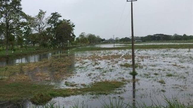 Emergencia en Montería por rebosamiento del canal de desagüe “El Purgatorio”. Foto: Cortesía