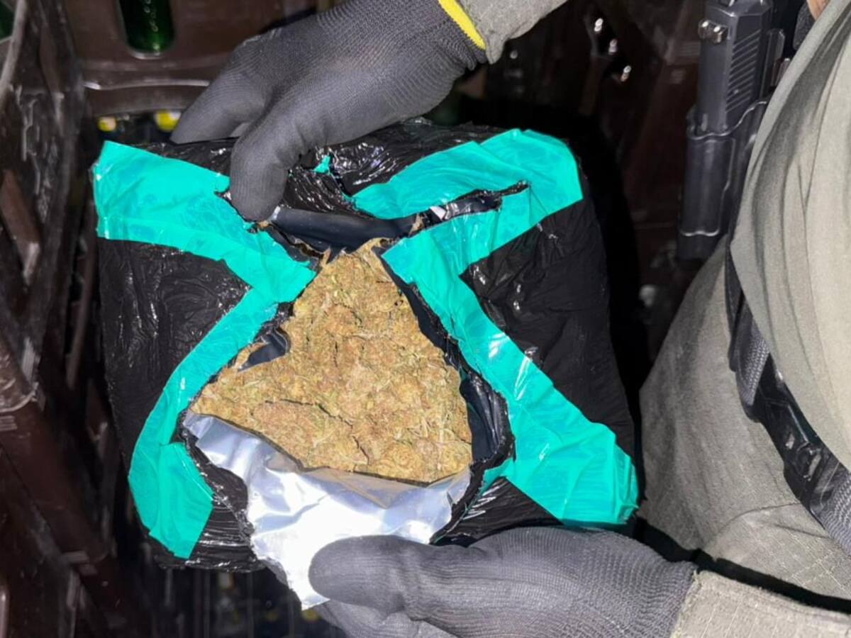 Incautan 314 kilos de marihuana en la vía Bogotá – Girardot