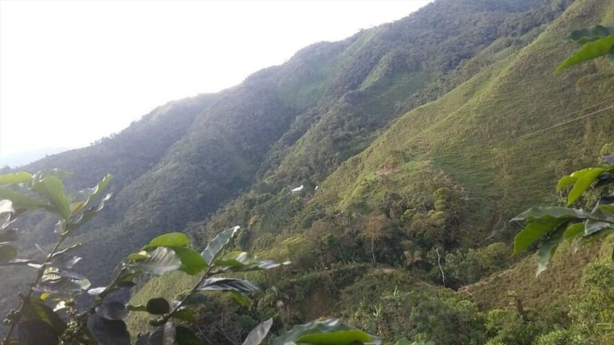 Aumentas denuncias por falsos tramitadores de tierras que buscan estafar a ciudadanos. Foto: Colprensa