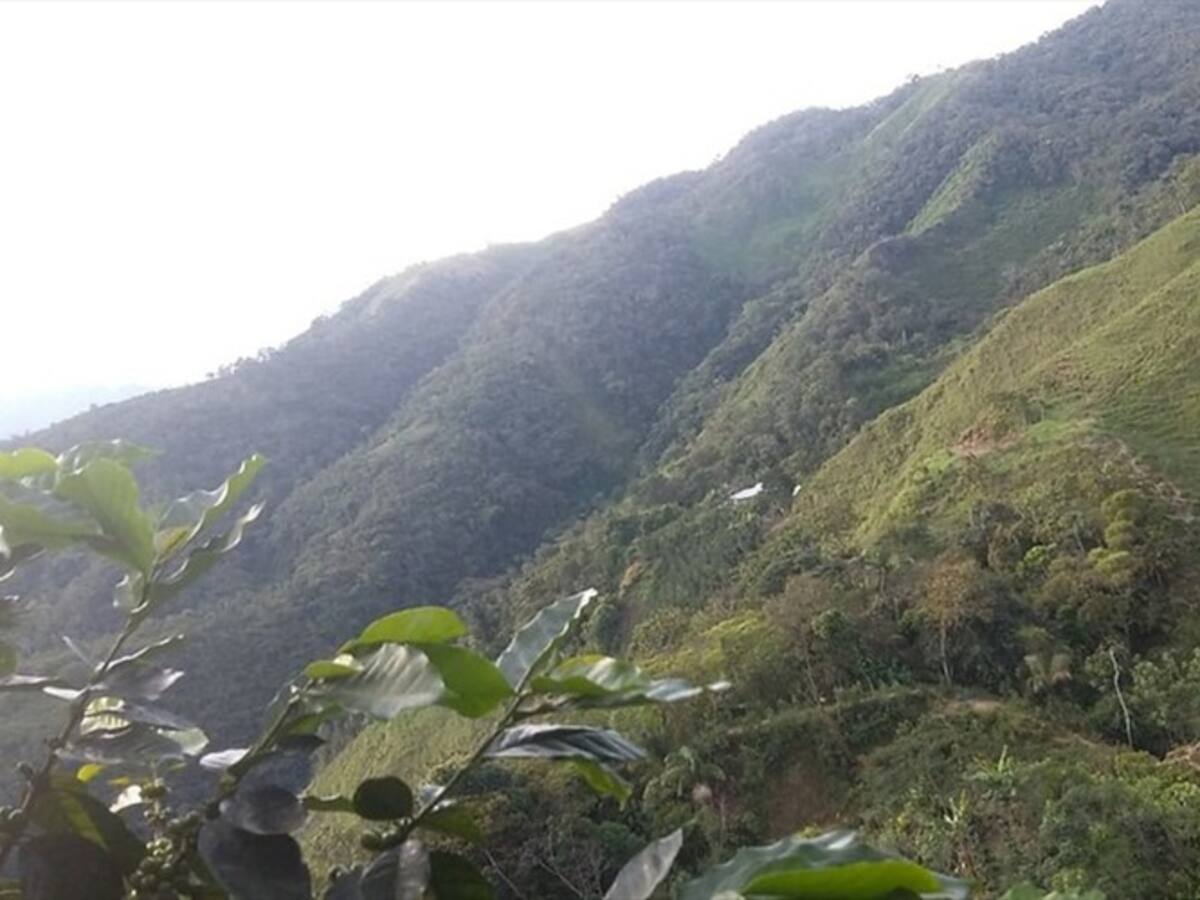 Aumentan denuncias por falsos tramitadores de tierras que buscan estafar a ciudadanos