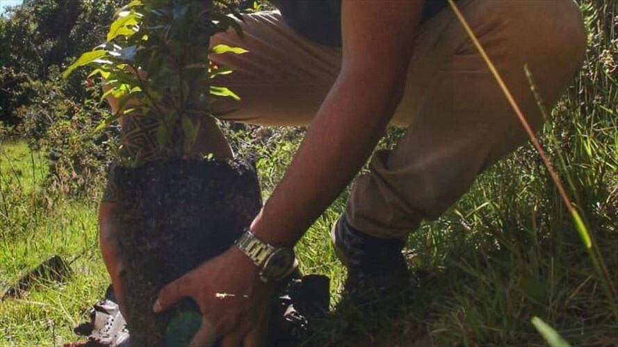 Corpoboyacá quiere trabajar en las áreas urbanas para trabajar de la mano con los alcaldes y la comunidad.. Foto: Corpoboyaca