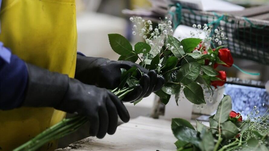 Otros mercados de la flores boyacenses son Argentina, Chile, Panamá y Paraguay.  Foto: Colprensa